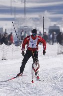 Lenk 2013